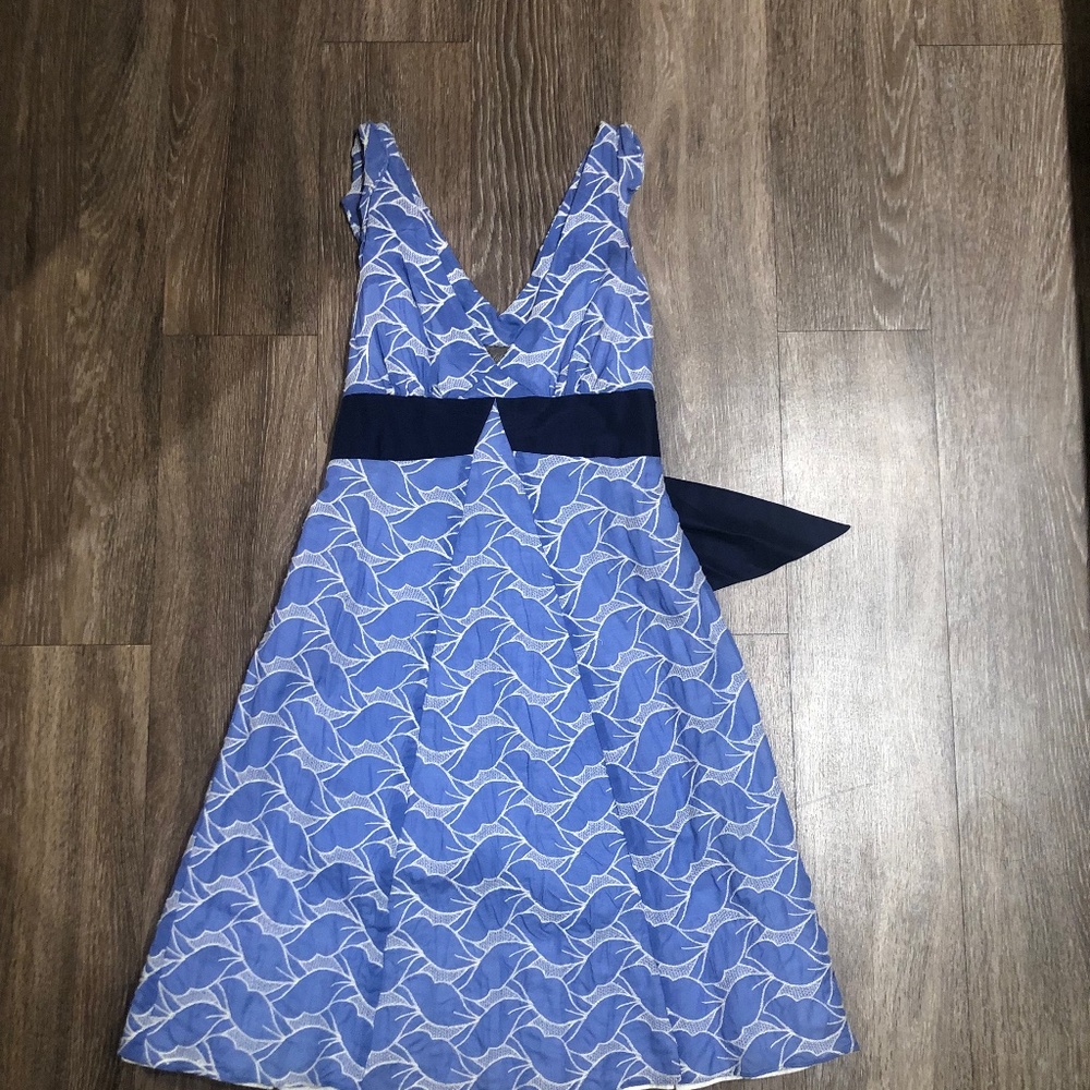 Blue Dress